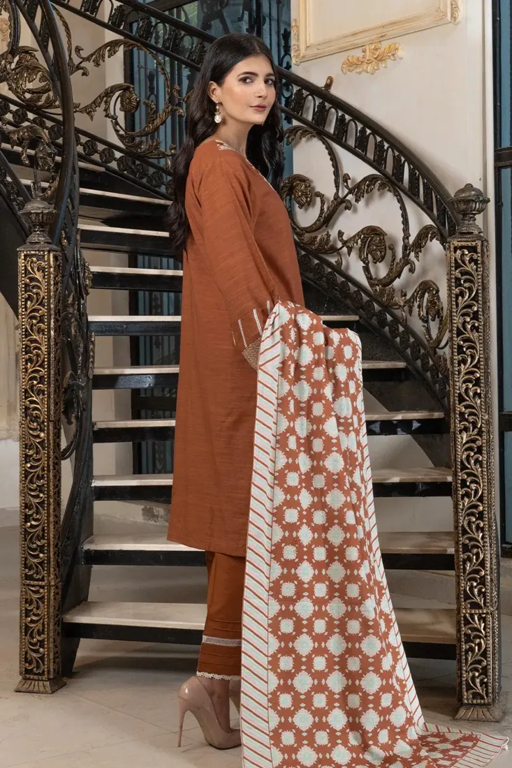 Brown Embroidered Khaddar 3-Piece Winter Collection - image 2