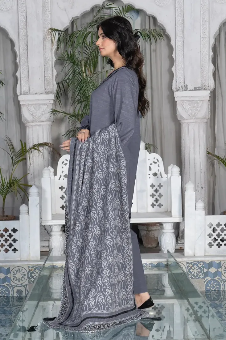 Grey Embroidered Khaddar 3-Piece Winter Collection - image 4