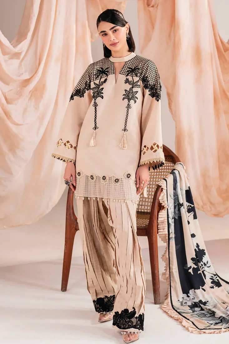 Beige Khaddar 3-Piece with Organza Embroidery Winter Collection - image 1