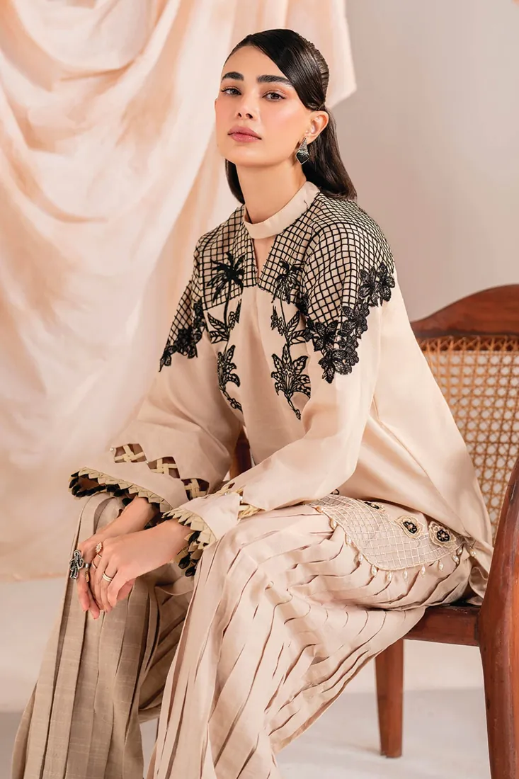Beige Khaddar 3-Piece with Organza Embroidery Winter Collection - image 2