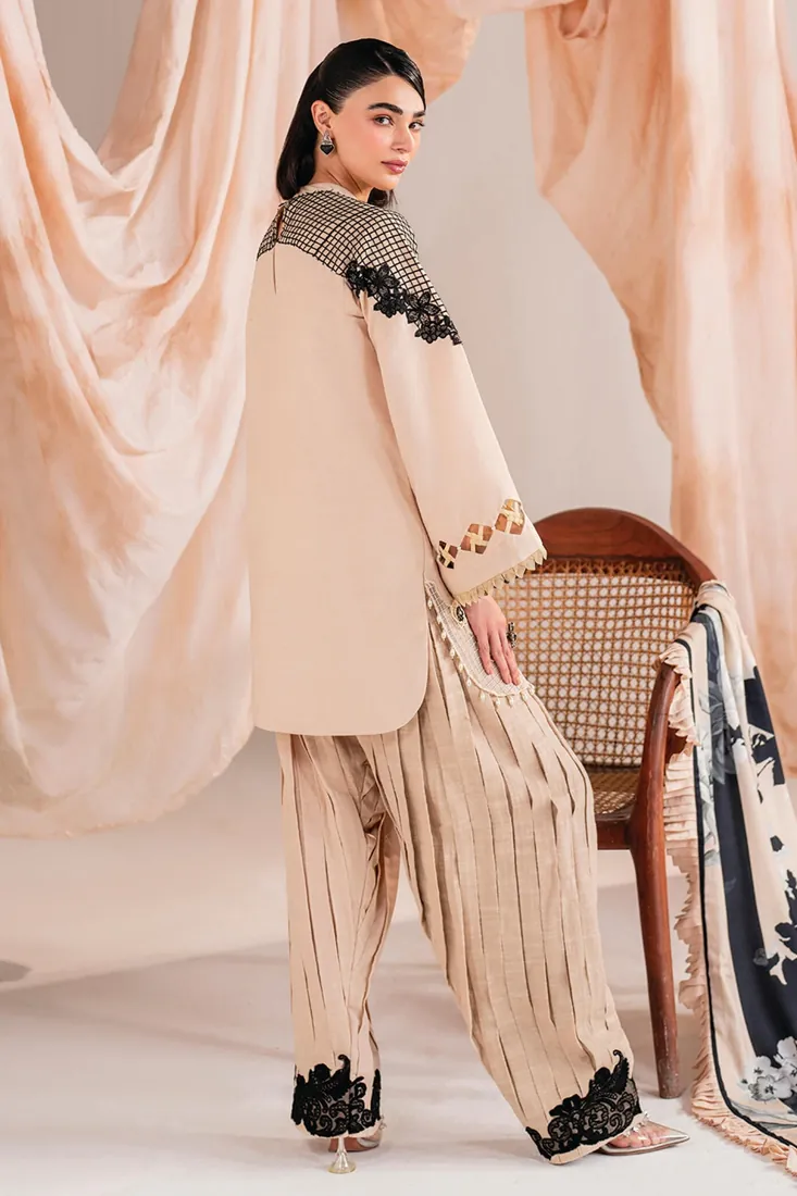 Beige Khaddar 3-Piece with Organza Embroidery Winter Collection - image 4
