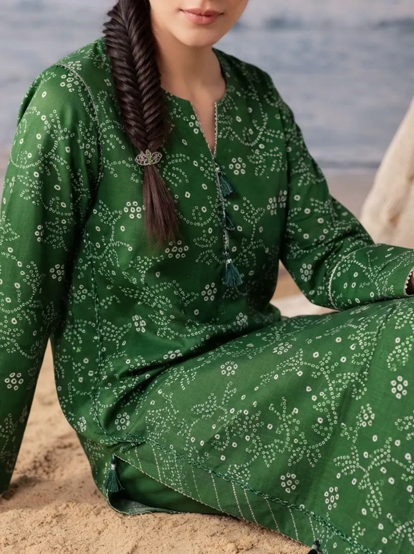 Green Printed Khaddar 3-Piece Winter Collection - image 3