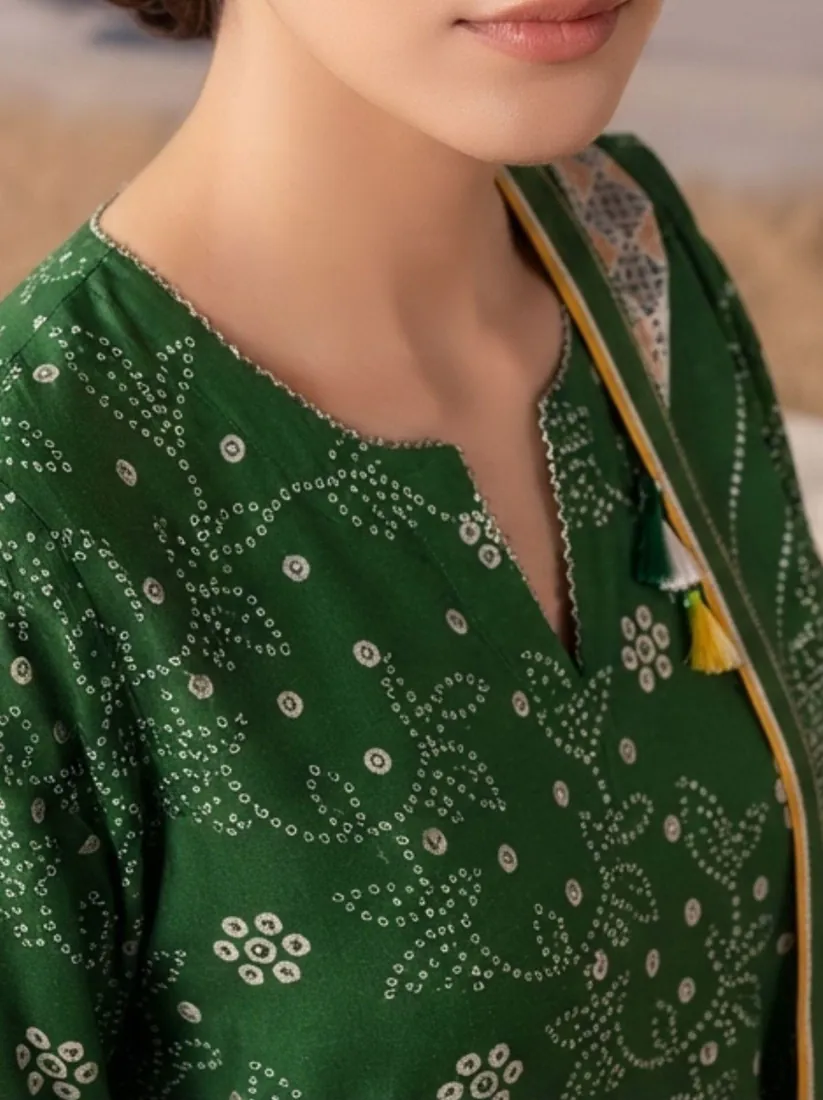 Green Printed Khaddar 3-Piece Winter Collection - image 4