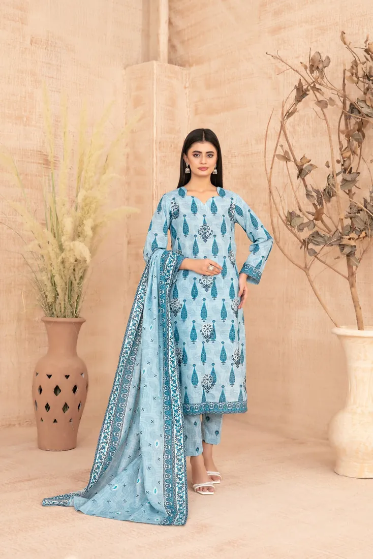 Sky Blue Embroidered Printed Khaddar 3-Piece Winter Collection - image 1