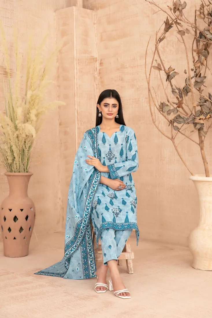 Sky Blue Embroidered Printed Khaddar 3-Piece Winter Collection - image 3