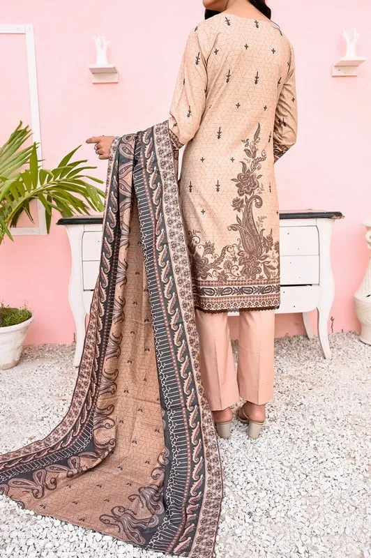 Peach Beige Embroidered Printed Dhanak 3-Piece Winter Collection - image 4