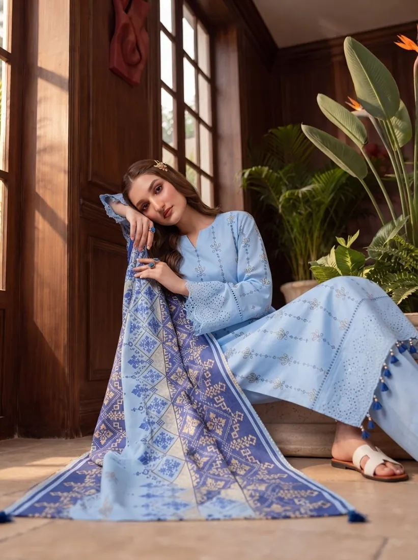 Sky Blue Printed Leather Linen 3-Piece Winter Collection - image 2