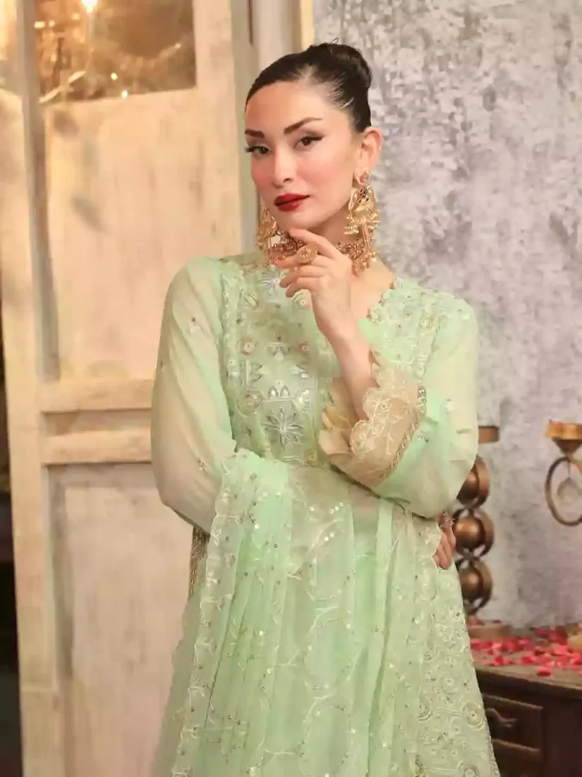 Light Pistachio Embroidered Chiffon 3-Piece Festive Collection - image 4
